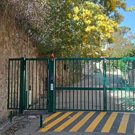 T2 A Proximite Des Plages Cannes Kültér fotó
